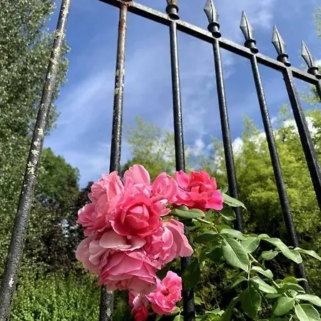 Chateau Le Repos - Luxury Air-conditioned With Pool Rouffignac-de-Sigoules